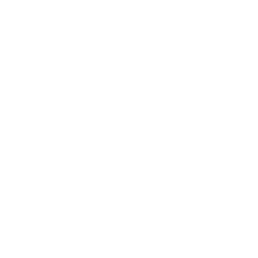 Raytheon - Conceptual Partner