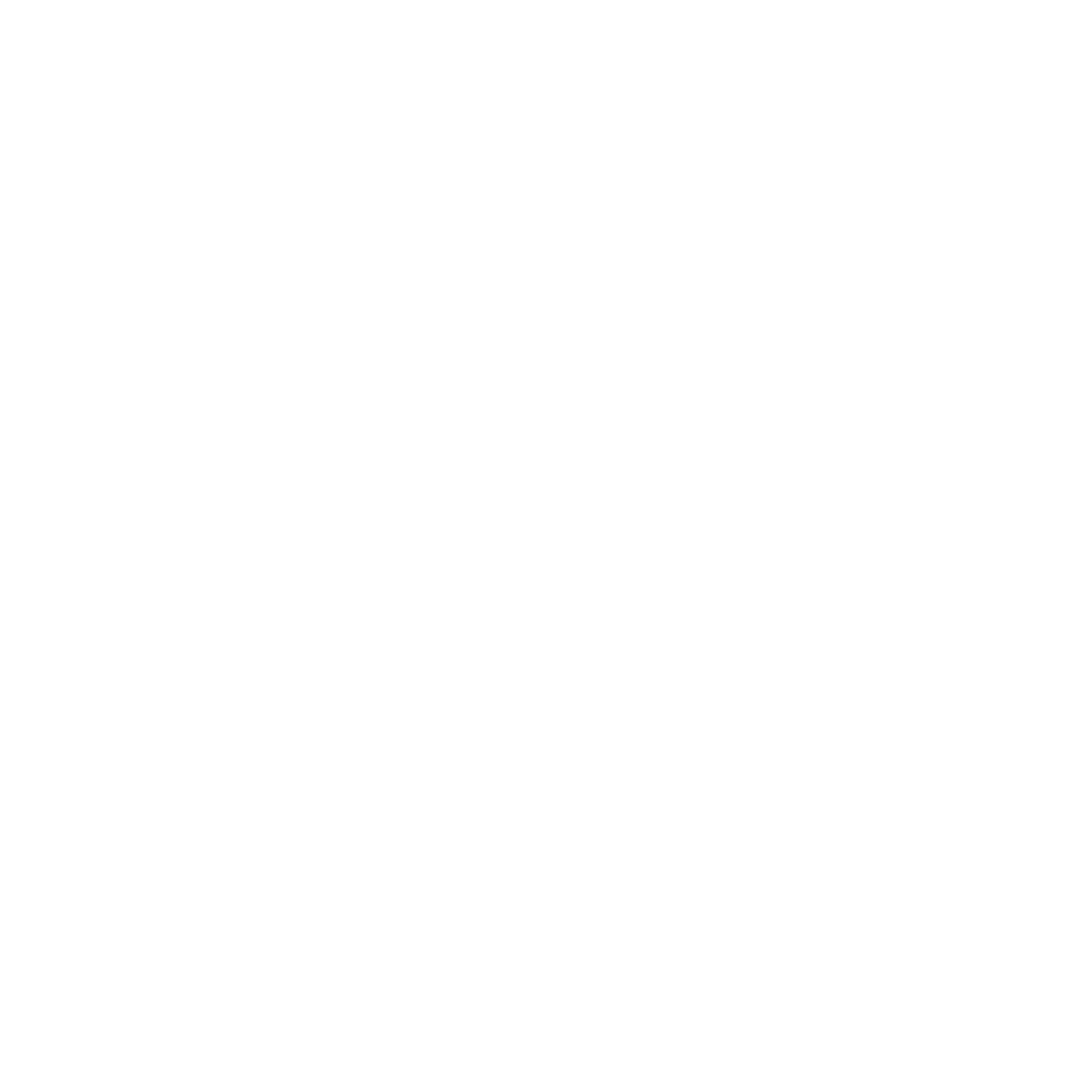 SpaceX - Conceptual Partner